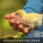 鸡冠山的传说故事是怎样的_神话故事