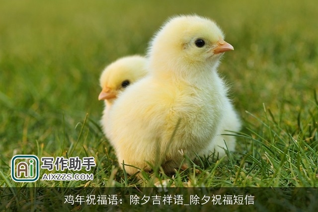 鸡年祝福语：除夕吉祥语_除夕祝福短信