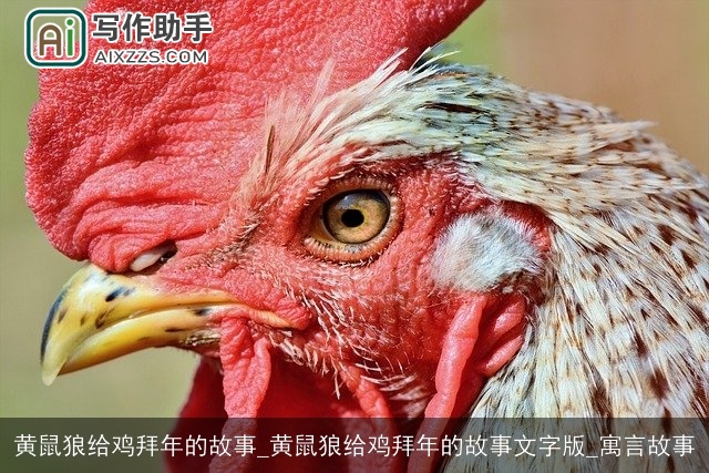 黄鼠狼给鸡拜年的故事_黄鼠狼给鸡拜年的故事文字版_寓言故事