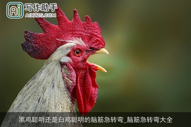 黑鸡聪明还是白鸡聪明的脑筋急转弯_脑筋急转弯大全