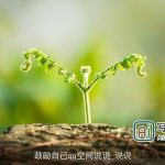 鼓励自己qq空间说说_说说