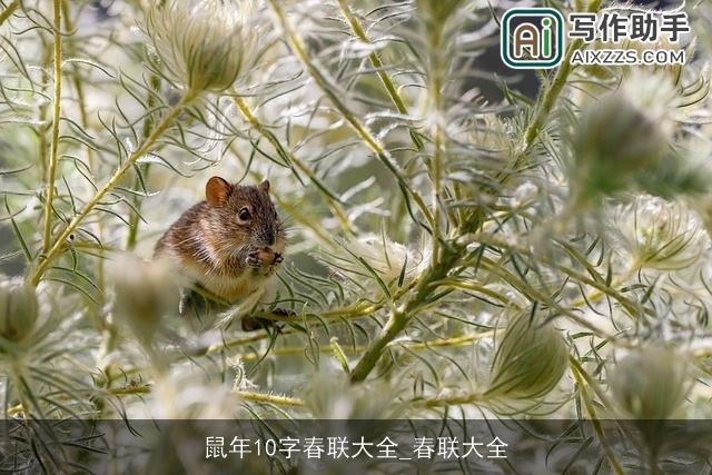 鼠年10字春联大全_春联大全