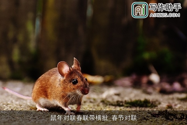 鼠年对联春联带横批_春节对联