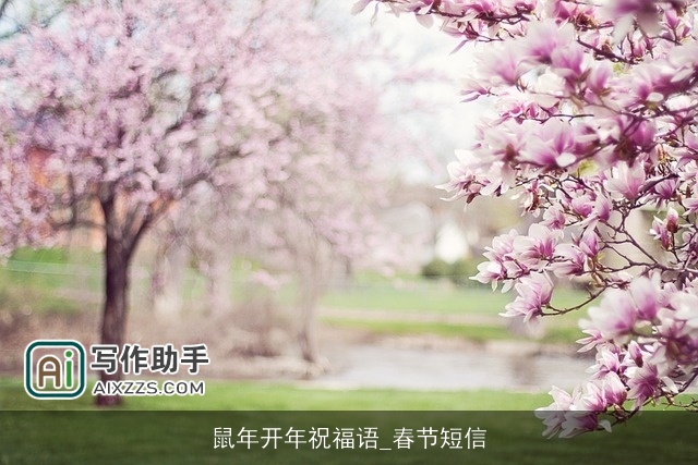 鼠年开年祝福语_春节短信