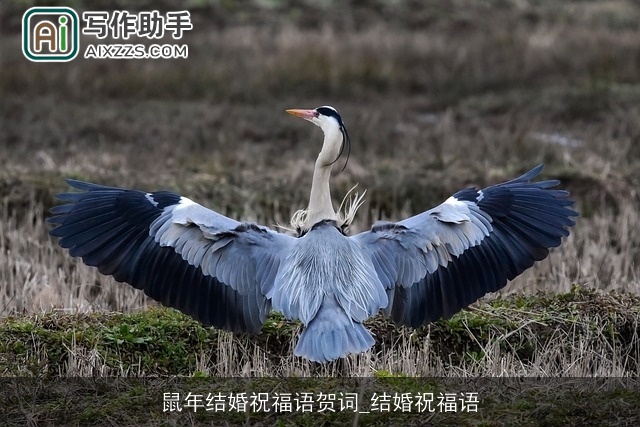 鼠年结婚祝福语贺词_结婚祝福语