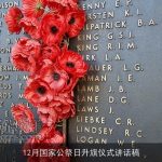 12月国家公祭日升旗仪式讲话稿