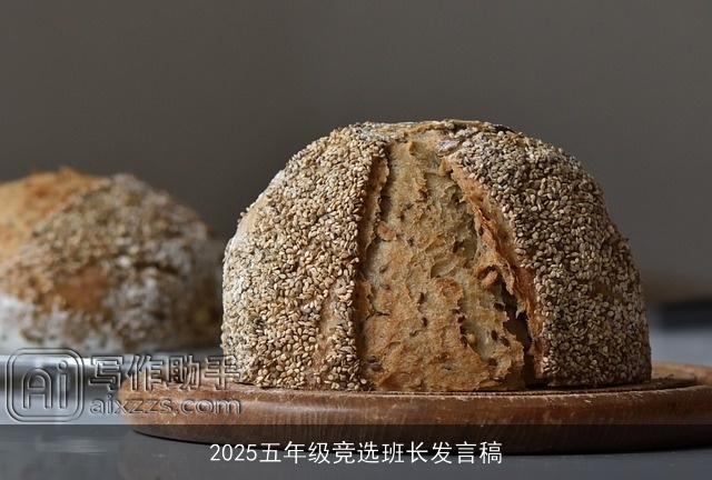 2025五年级竞选班长发言稿