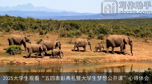 2025大学生观看“五四表彰典礼暨大学生梦想公开课”心得体会