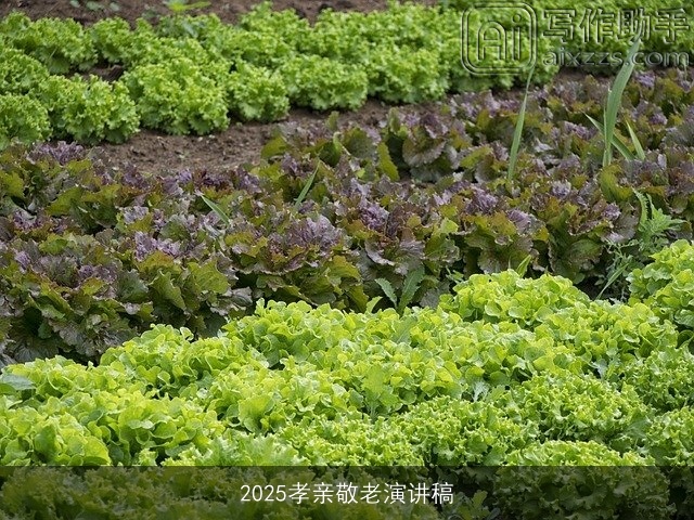 2025孝亲敬老演讲稿