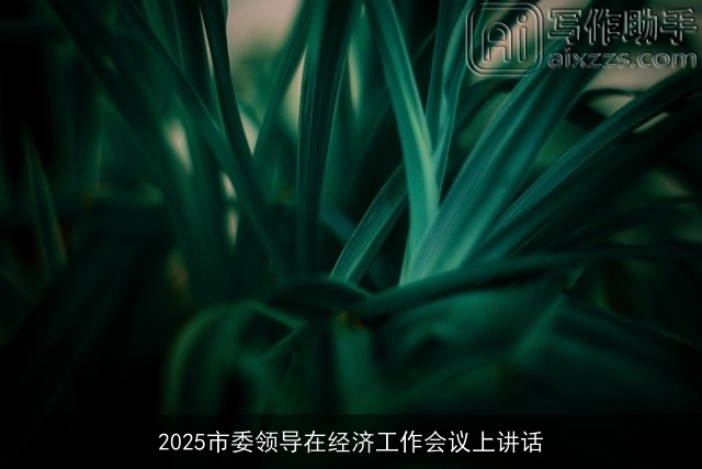 2025市委领导在经济工作会议上讲话