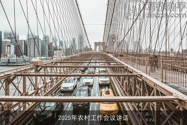 2025年农村工作会议讲话