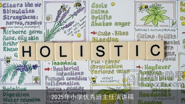 2025年小学优秀班主任演讲稿