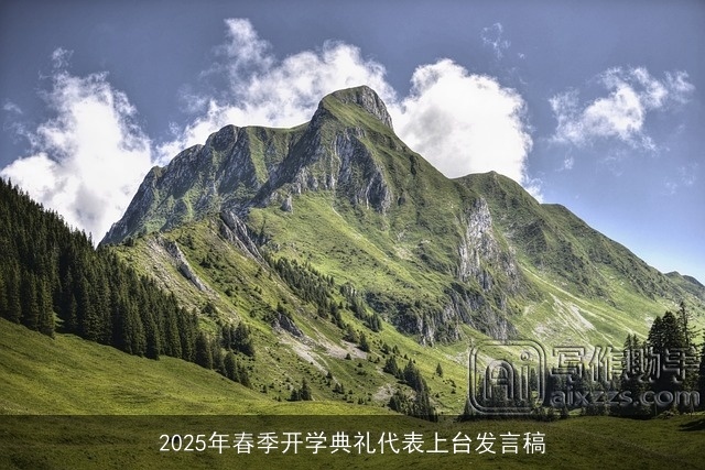 2025年春季开学典礼代表上台发言稿