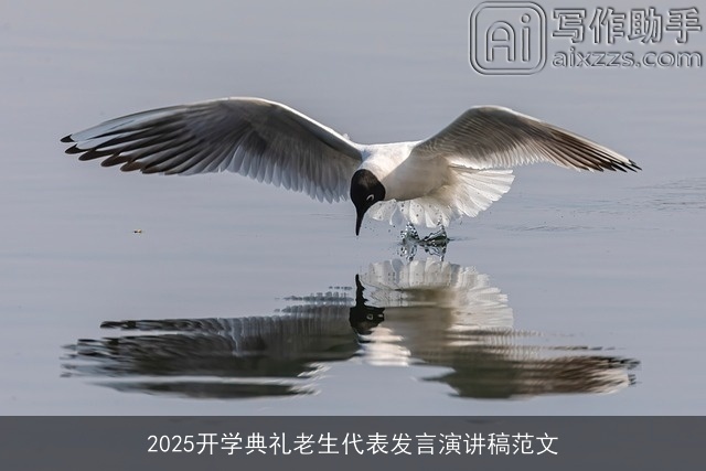 2025开学典礼老生代表发言演讲稿范文