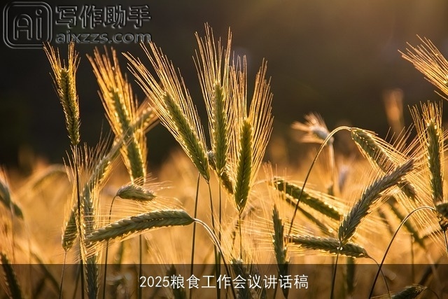 2025粮食工作会议讲话稿