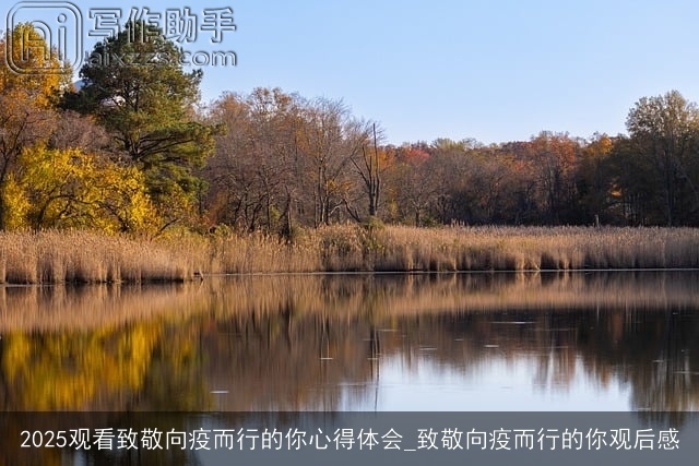 2025观看致敬向疫而行的你心得体会_致敬向疫而行的你观后感