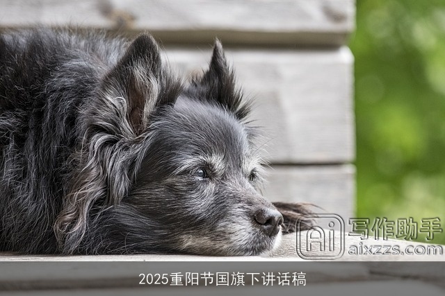 2025重阳节国旗下讲话稿