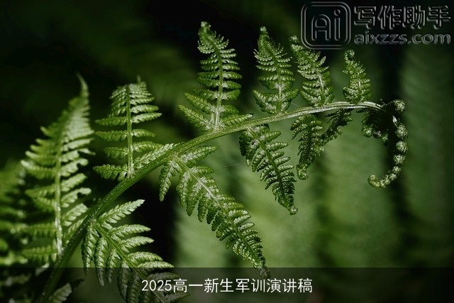 2025高一新生军训演讲稿