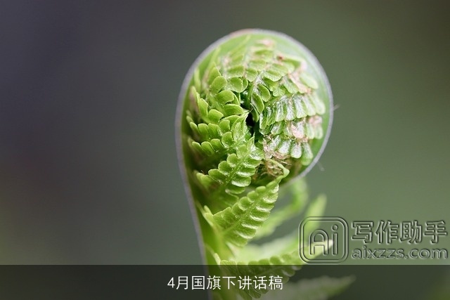 4月国旗下讲话稿