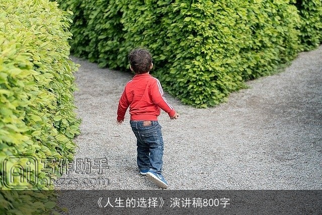 《人生的选择》演讲稿800字