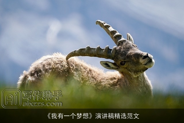 《我有一个梦想》演讲稿精选范文