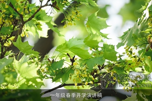 一年级春季开学演讲稿