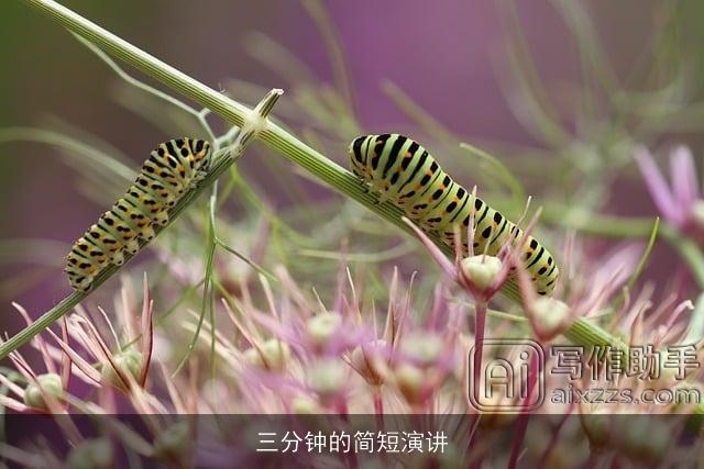 三分钟的简短演讲