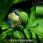 世界地球日演讲稿精编