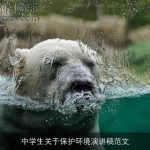 中学生关于保护环境演讲稿范文