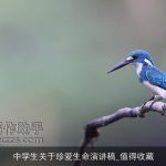 中学生关于珍爱生命演讲稿_值得收藏