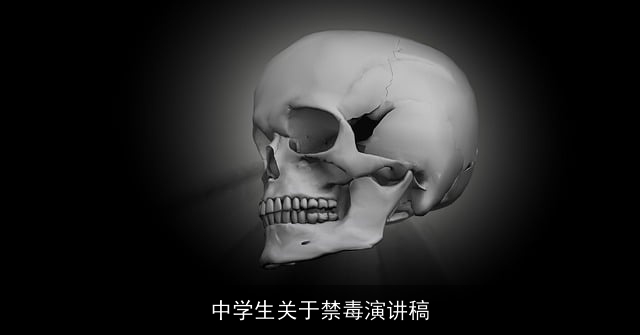 中学生关于禁毒演讲稿