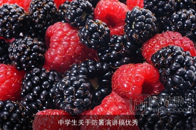 中学生关于防暑演讲稿优秀