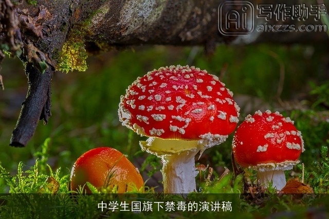 中学生国旗下禁毒的演讲稿