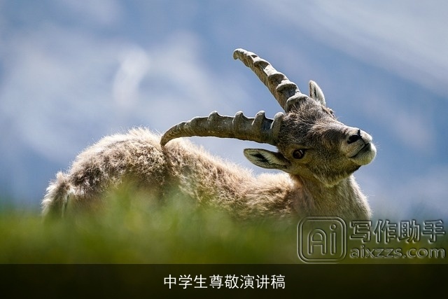 中学生尊敬演讲稿