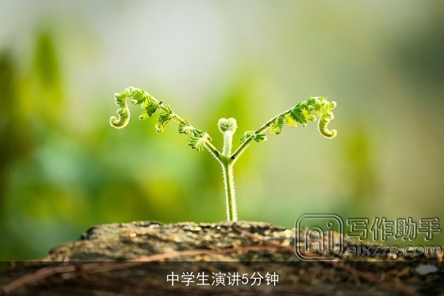 中学生演讲5分钟