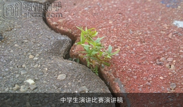 中学生演讲比赛演讲稿