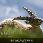 中学生行为规范演讲稿