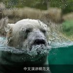 中文演讲稿范文