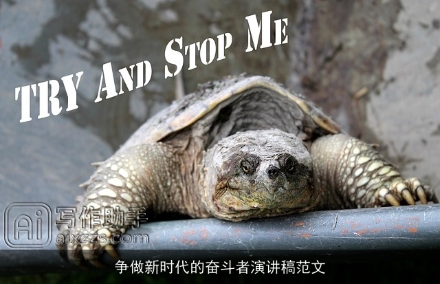 争做新时代的奋斗者演讲稿范文