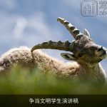 争当文明学生演讲稿