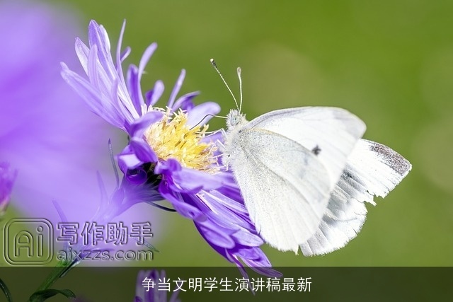 争当文明学生演讲稿最新