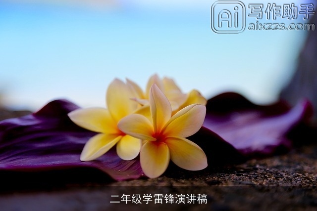 二年级学雷锋演讲稿