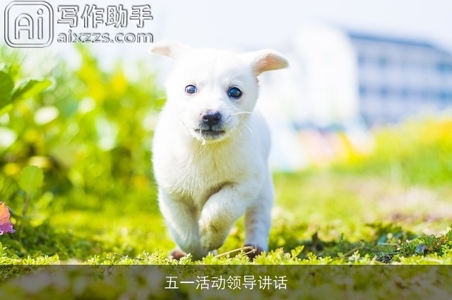 五一活动领导讲话