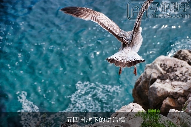 五四国旗下的讲话稿