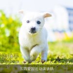 五四爱国运动演讲稿