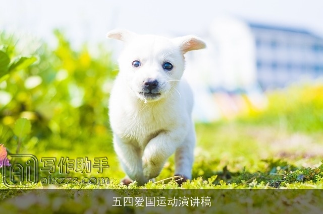 五四爱国运动演讲稿