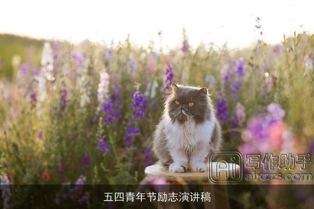 五四青年节励志演讲稿