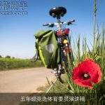 五年级竞选体育委员演讲稿