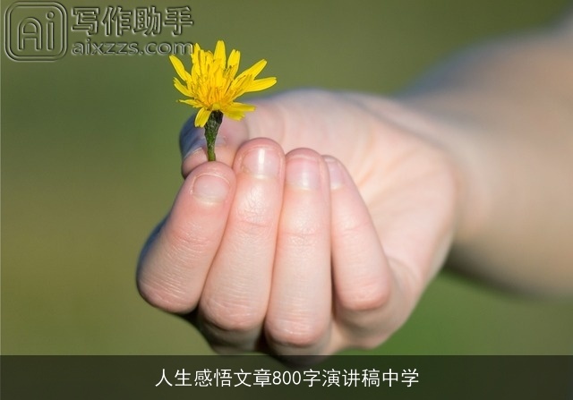 人生感悟文章800字演讲稿中学