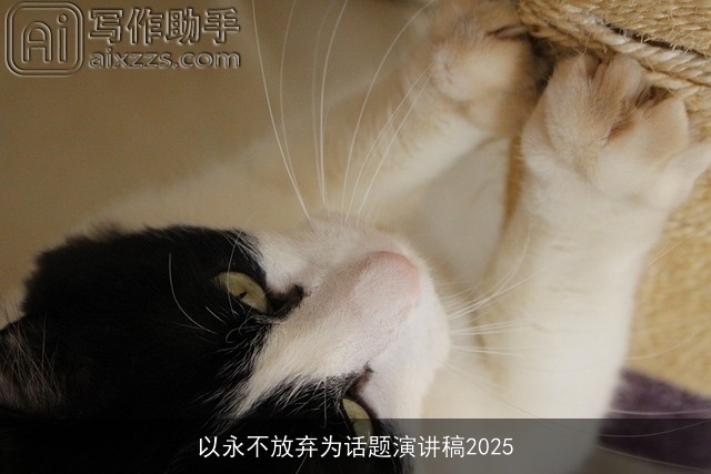 以永不放弃为话题演讲稿2025